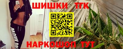 твердый Гатчина