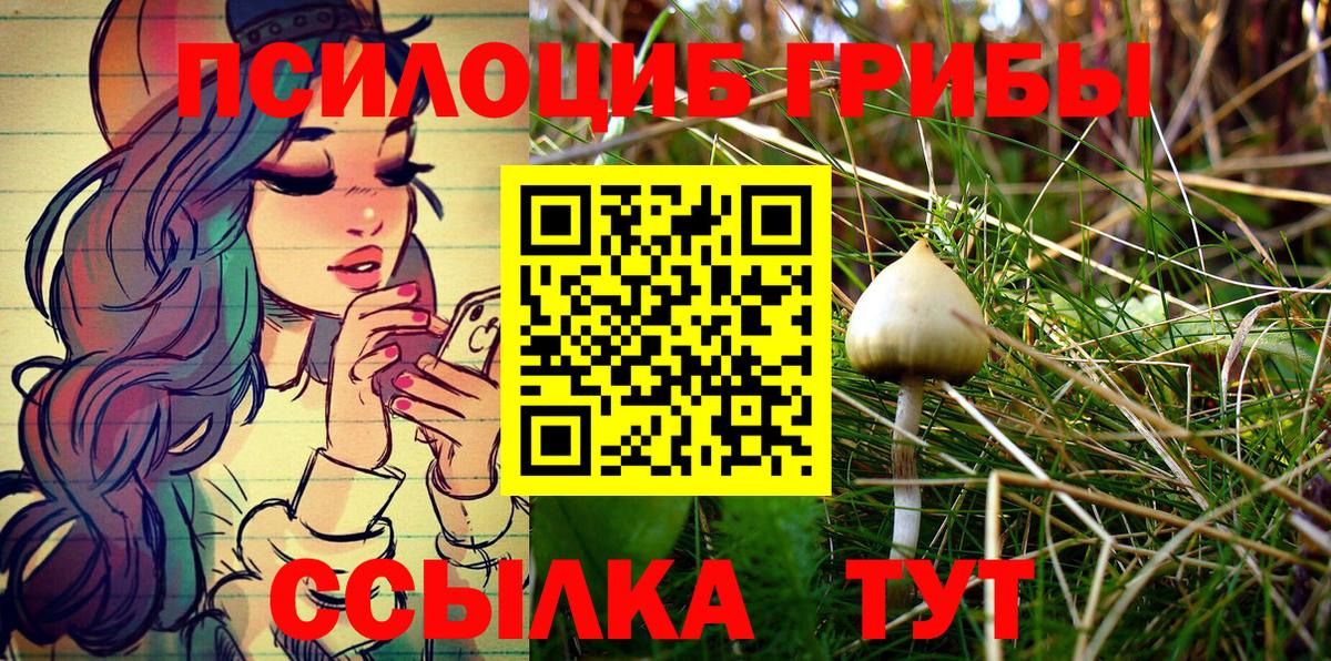Псилоцибиновые грибы Psilocybe  Вход с VPN  Канск  Псилоцибиновые грибы прущие грибы 